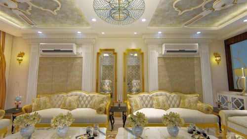 Lavish Living room interior