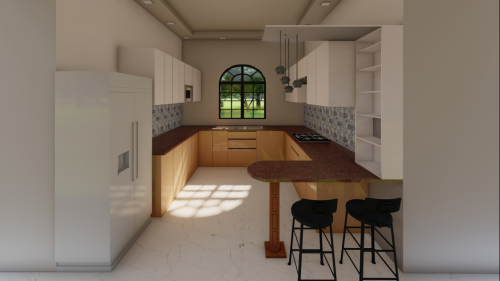 kitchen Interior Designs 